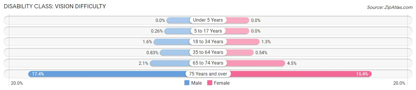 Disability in Zip Code 33594: <span>Vision Difficulty</span>