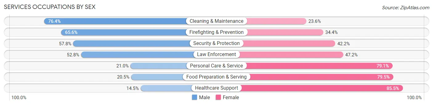 Services Occupations by Sex in Zip Code 33598