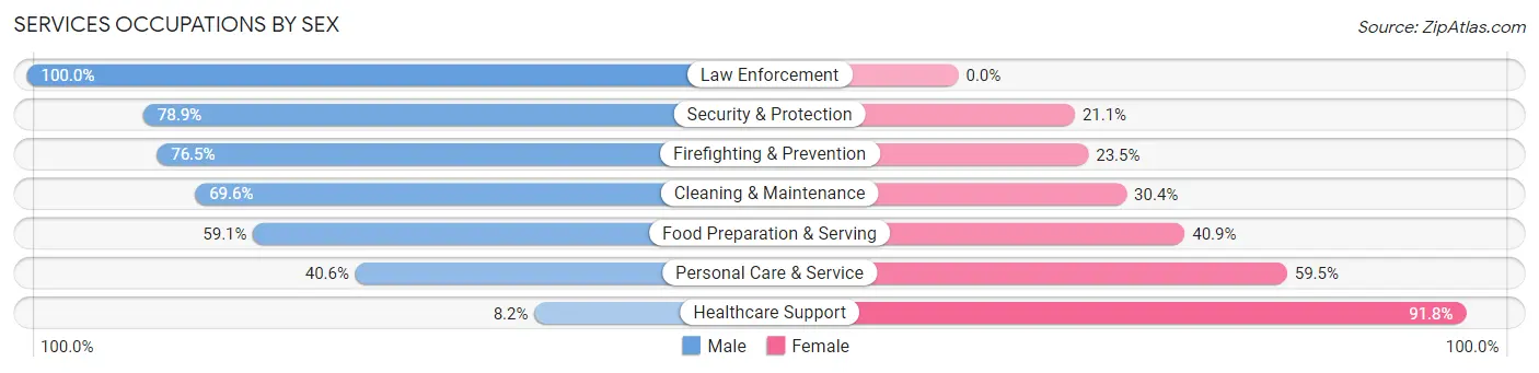 Services Occupations by Sex in Zip Code 33617