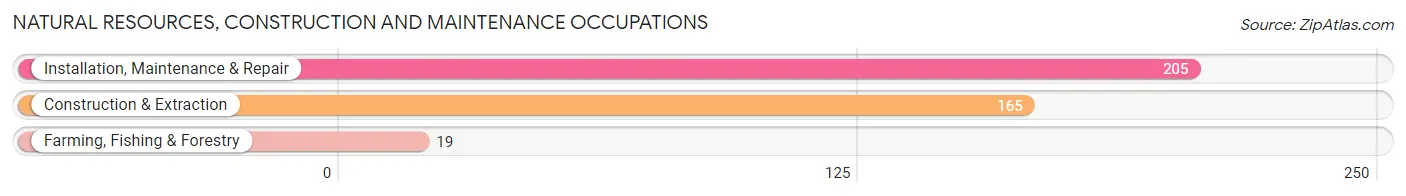 Natural Resources, Construction and Maintenance Occupations in Zip Code 33626