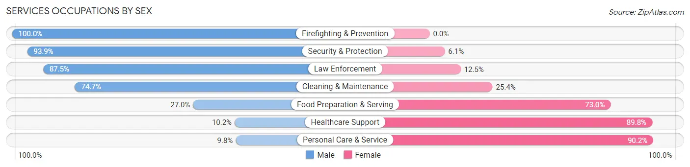 Services Occupations by Sex in Zip Code 33635