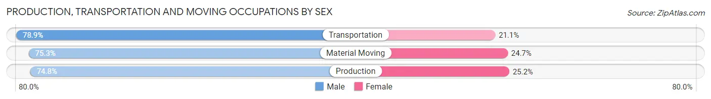 Production, Transportation and Moving Occupations by Sex in Zip Code 33705