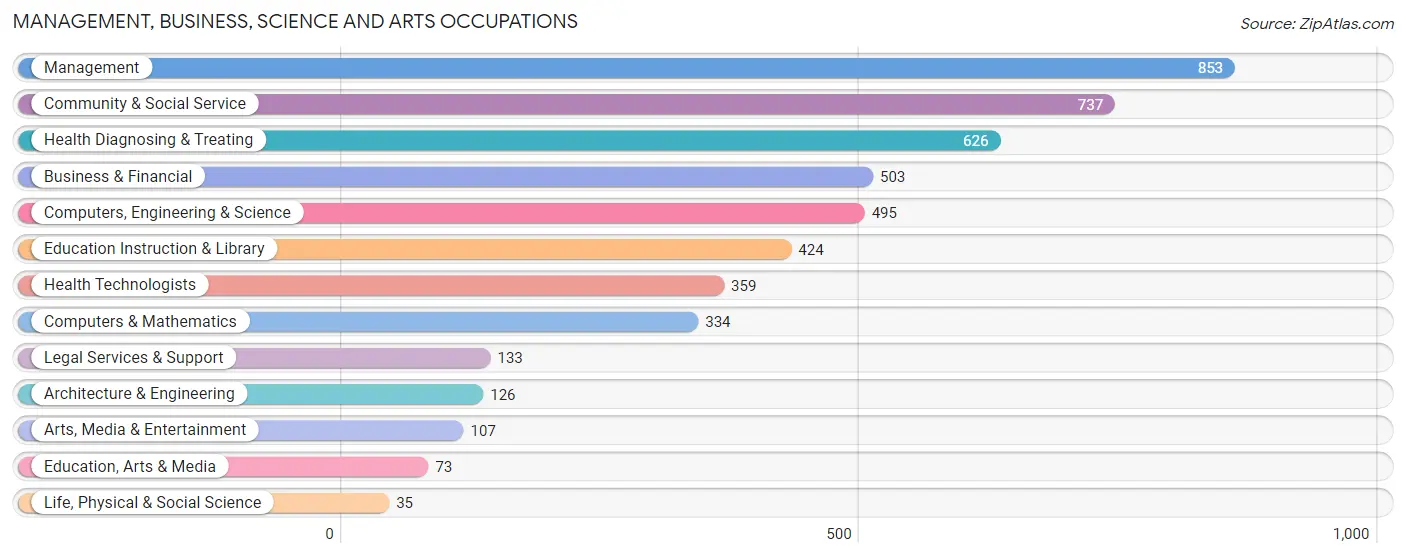 Management, Business, Science and Arts Occupations in Zip Code 33709