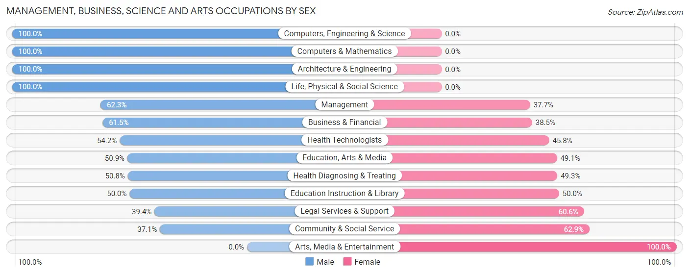 Management, Business, Science and Arts Occupations by Sex in Zip Code 33767