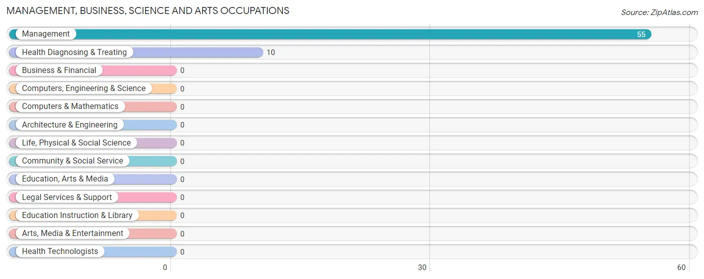 Management, Business, Science and Arts Occupations in Zip Code 33960