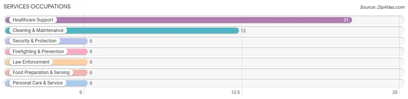 Services Occupations in Zip Code 33960