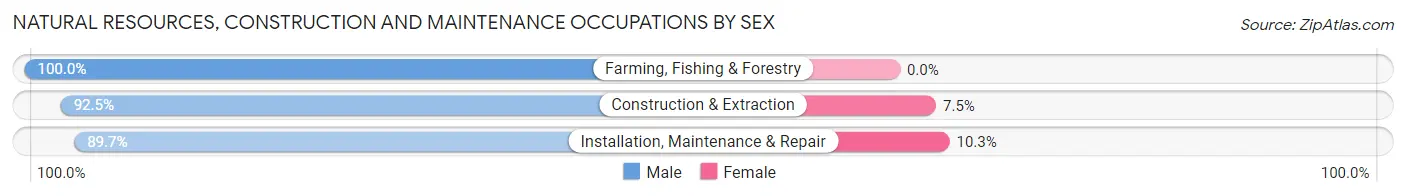 Natural Resources, Construction and Maintenance Occupations by Sex in Zip Code 33983
