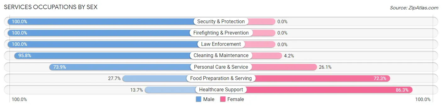 Services Occupations by Sex in Zip Code 34134