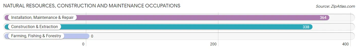 Natural Resources, Construction and Maintenance Occupations in Zip Code 34291