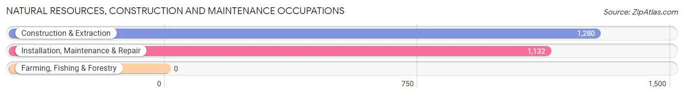 Natural Resources, Construction and Maintenance Occupations in Zip Code 34746