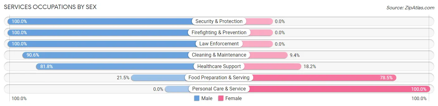 Services Occupations by Sex in Zip Code 34753