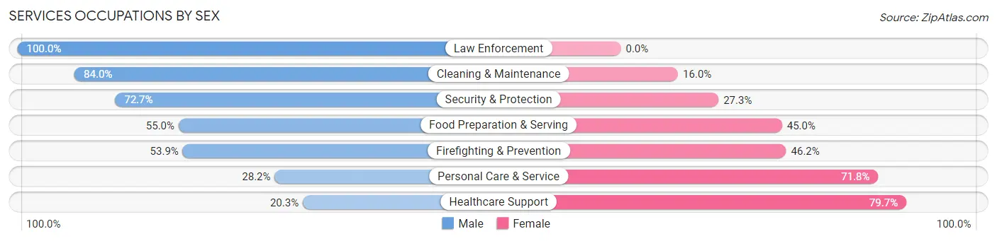 Services Occupations by Sex in Zip Code 34787