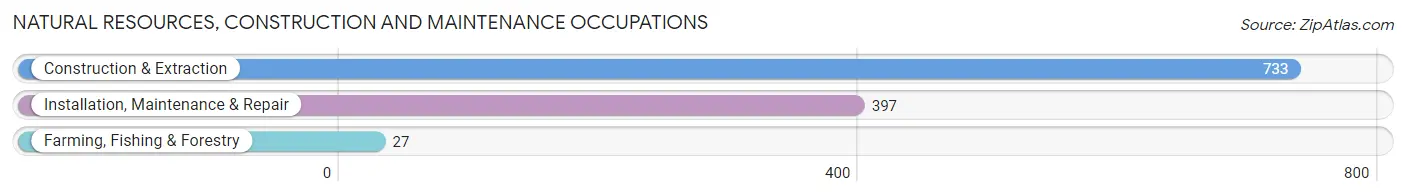 Natural Resources, Construction and Maintenance Occupations in Zip Code 35007