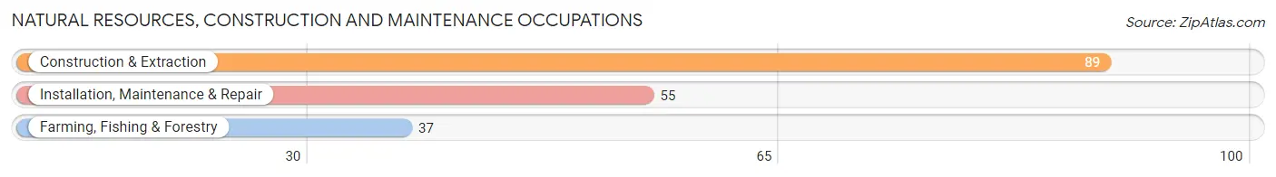 Natural Resources, Construction and Maintenance Occupations in Zip Code 35019