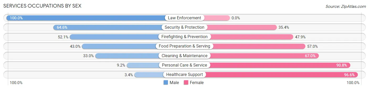 Services Occupations by Sex in Zip Code 35058