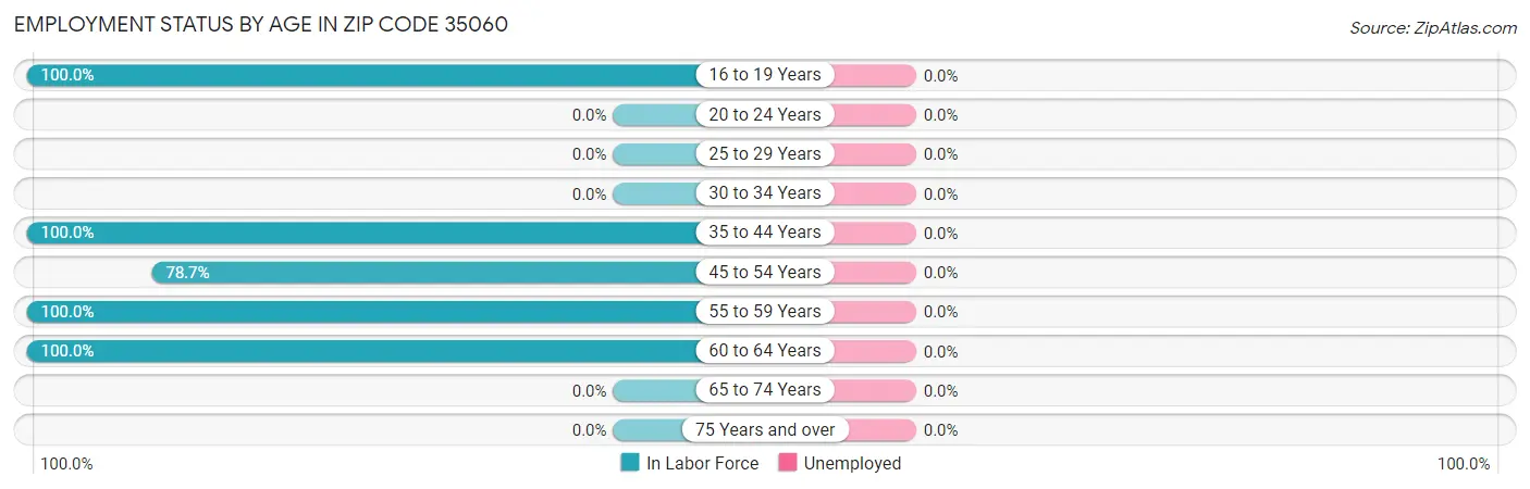 Employment Status by Age in Zip Code 35060