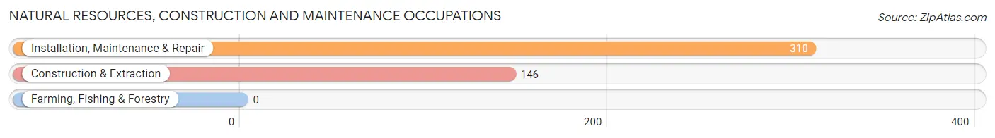 Natural Resources, Construction and Maintenance Occupations in Zip Code 35068