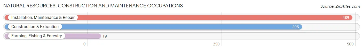 Natural Resources, Construction and Maintenance Occupations in Zip Code 35071