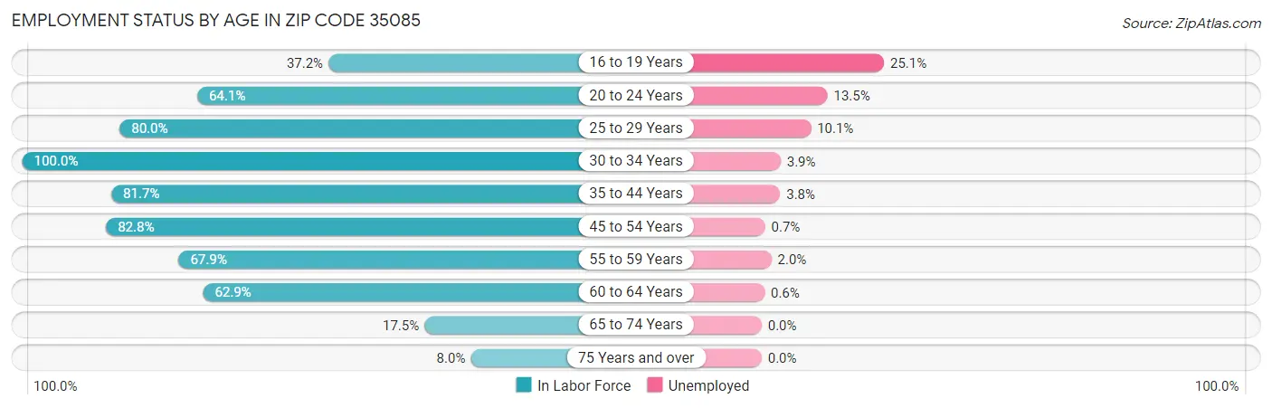 Employment Status by Age in Zip Code 35085