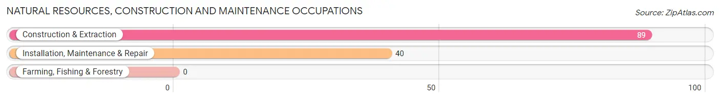 Natural Resources, Construction and Maintenance Occupations in Zip Code 35091