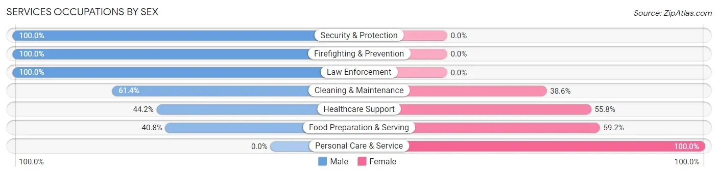 Services Occupations by Sex in Zip Code 35125