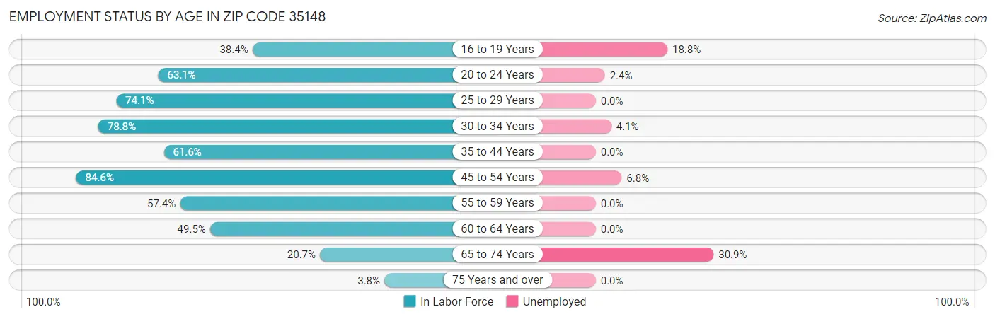 Employment Status by Age in Zip Code 35148