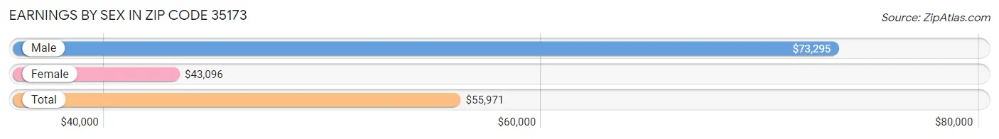 Earnings by Sex in Zip Code 35173