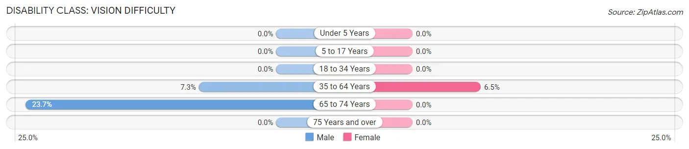 Disability in Zip Code 35203: <span>Vision Difficulty</span>