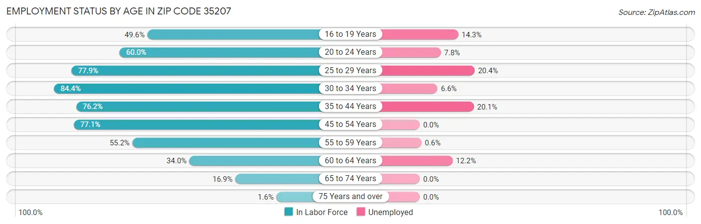 Employment Status by Age in Zip Code 35207