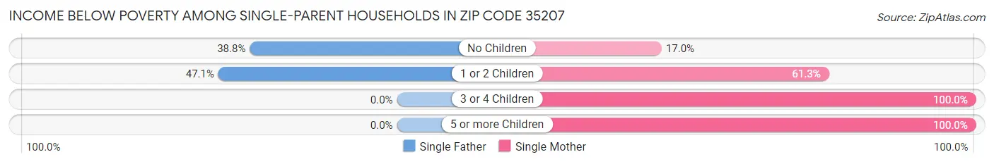 Income Below Poverty Among Single-Parent Households in Zip Code 35207