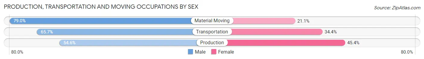 Production, Transportation and Moving Occupations by Sex in Zip Code 35207
