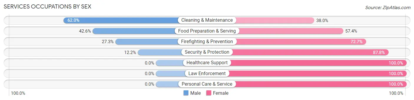 Services Occupations by Sex in Zip Code 35207