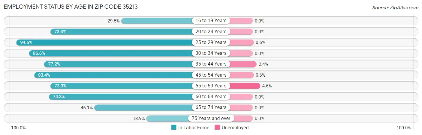 Employment Status by Age in Zip Code 35213