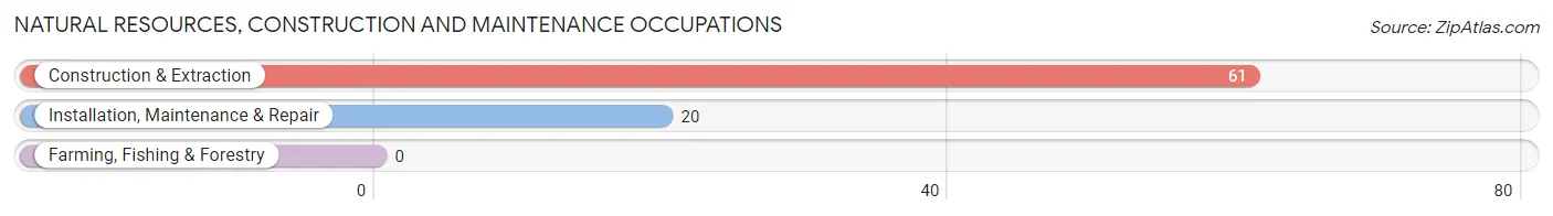 Natural Resources, Construction and Maintenance Occupations in Zip Code 35223