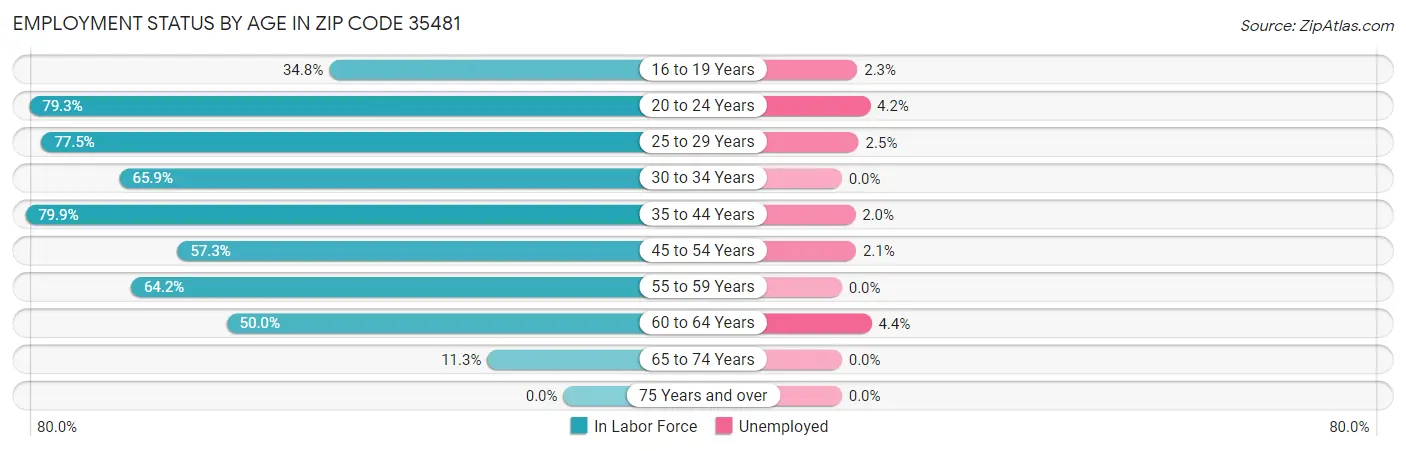 Employment Status by Age in Zip Code 35481