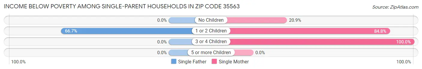 Income Below Poverty Among Single-Parent Households in Zip Code 35563