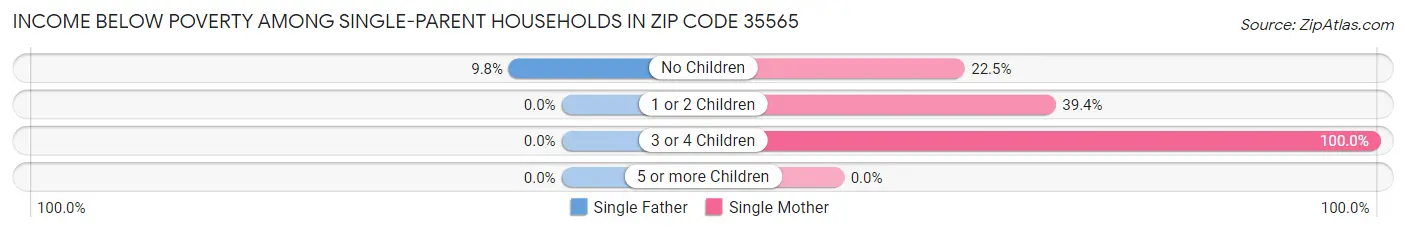 Income Below Poverty Among Single-Parent Households in Zip Code 35565