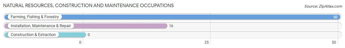 Natural Resources, Construction and Maintenance Occupations in Zip Code 35585