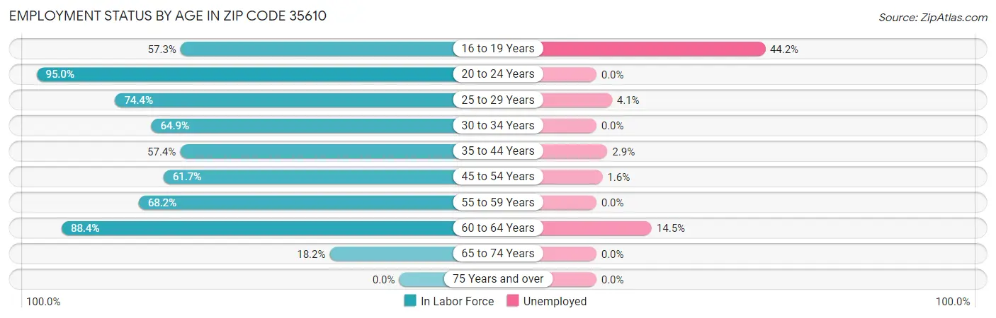 Employment Status by Age in Zip Code 35610