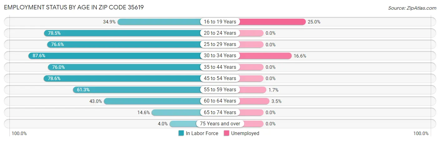 Employment Status by Age in Zip Code 35619