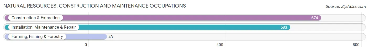 Natural Resources, Construction and Maintenance Occupations in Zip Code 35633