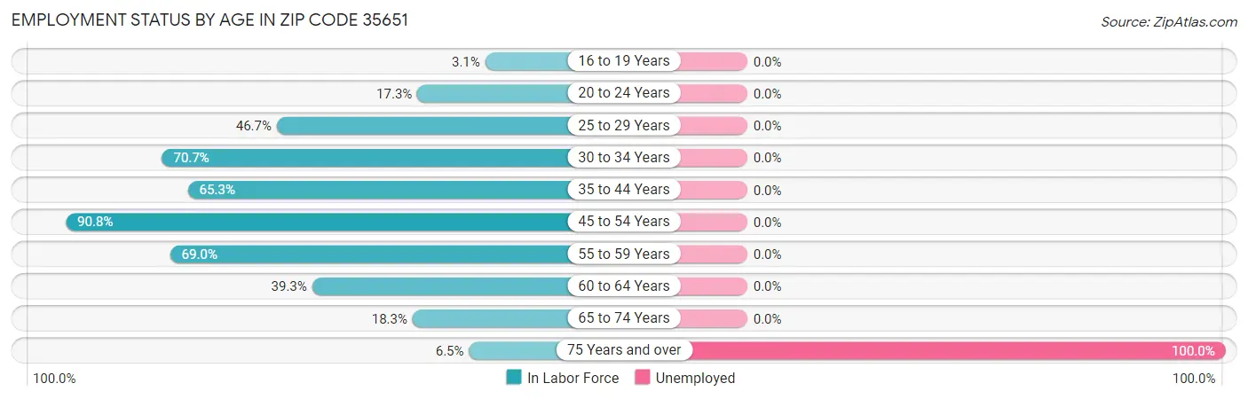 Employment Status by Age in Zip Code 35651