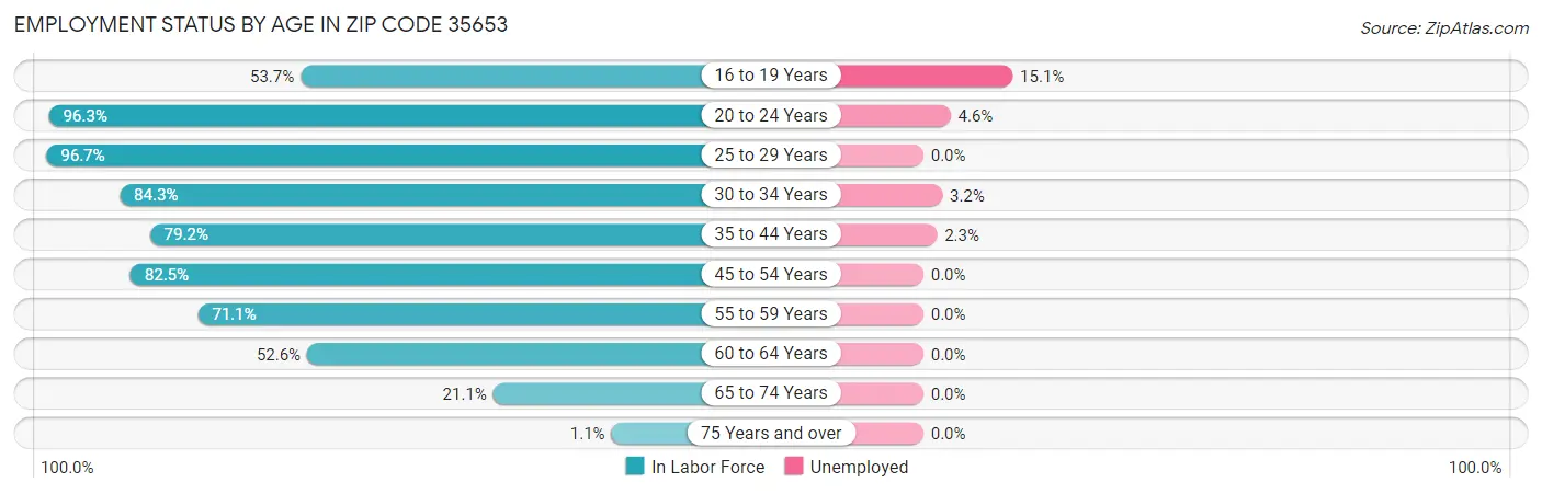 Employment Status by Age in Zip Code 35653
