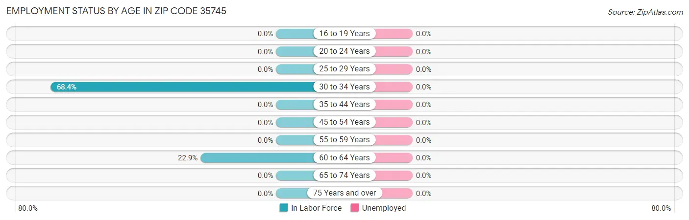 Employment Status by Age in Zip Code 35745