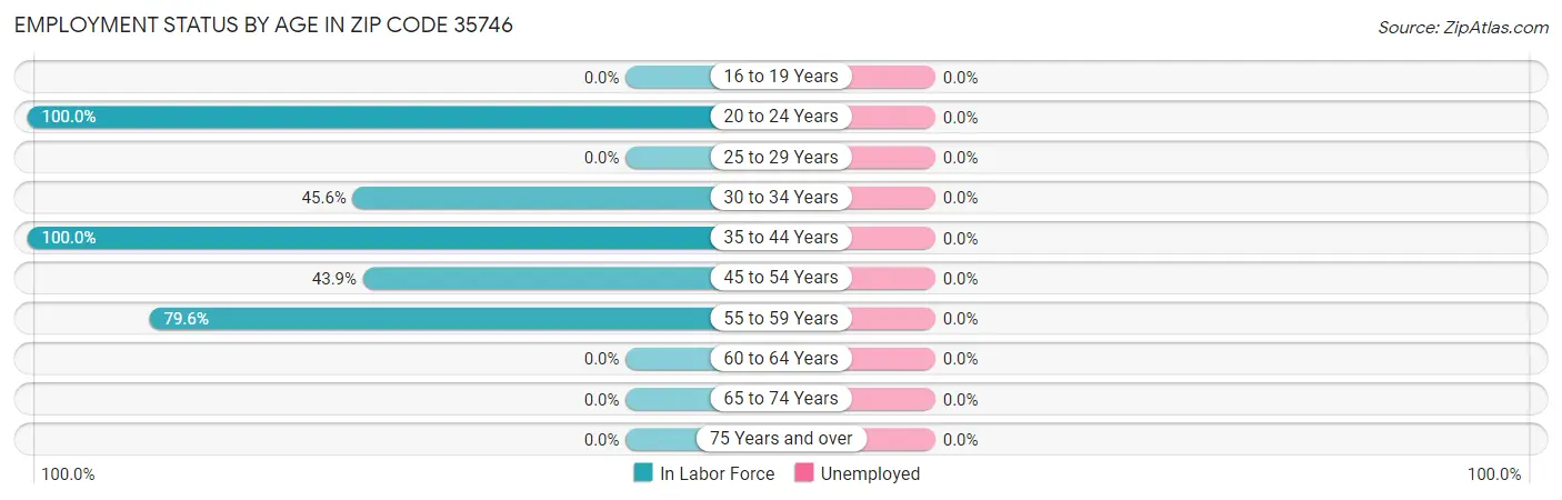 Employment Status by Age in Zip Code 35746