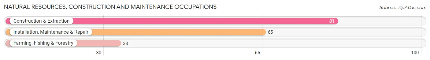 Natural Resources, Construction and Maintenance Occupations in Zip Code 35765