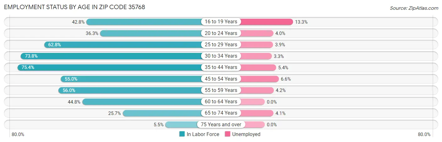 Employment Status by Age in Zip Code 35768