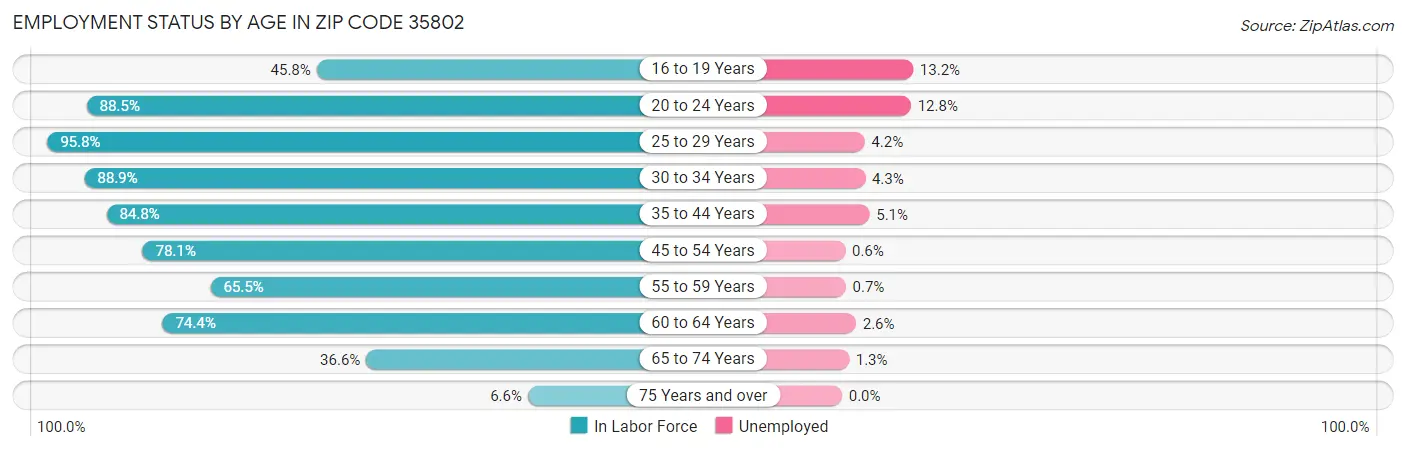 Employment Status by Age in Zip Code 35802