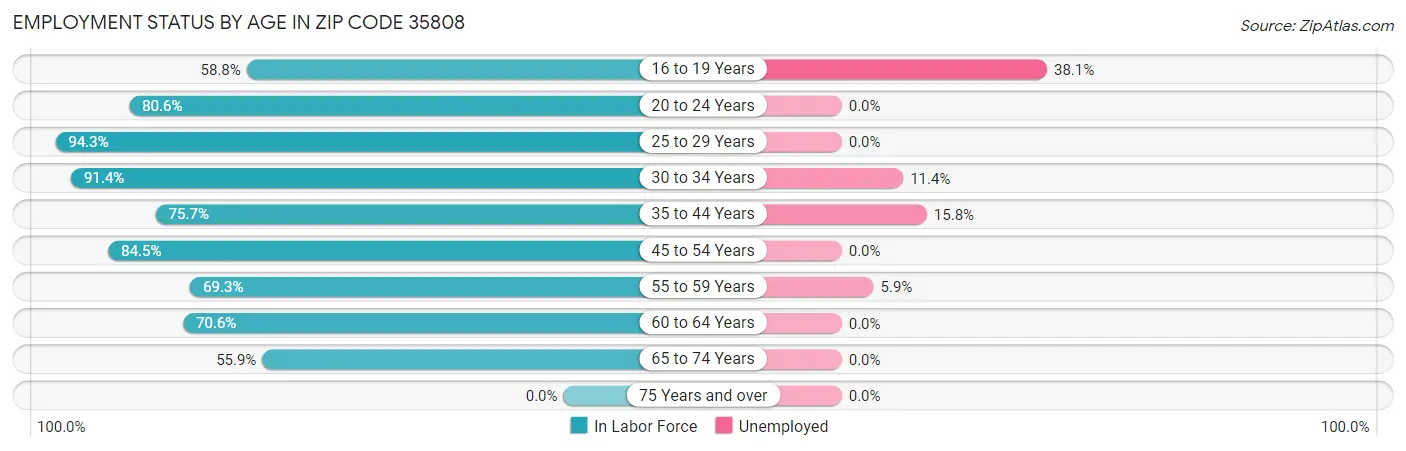 Employment Status by Age in Zip Code 35808