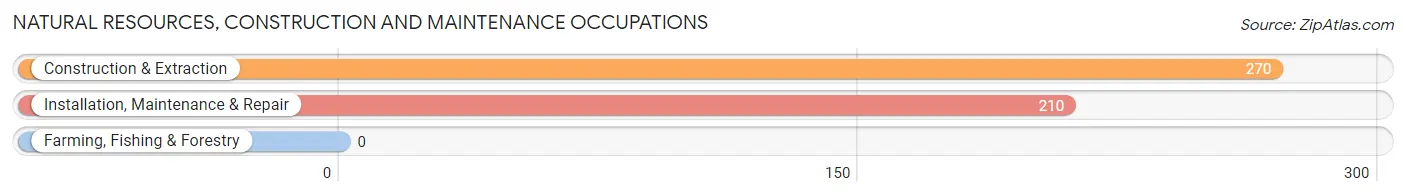 Natural Resources, Construction and Maintenance Occupations in Zip Code 35824